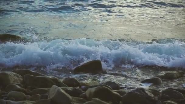 Bewegung der Zeitlupe am steinigen Strand — Stockvideo