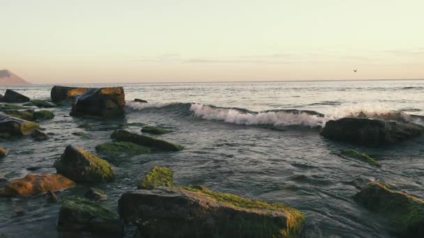 Wave splash on boulders in the water at sunset slow motion — Stock Video