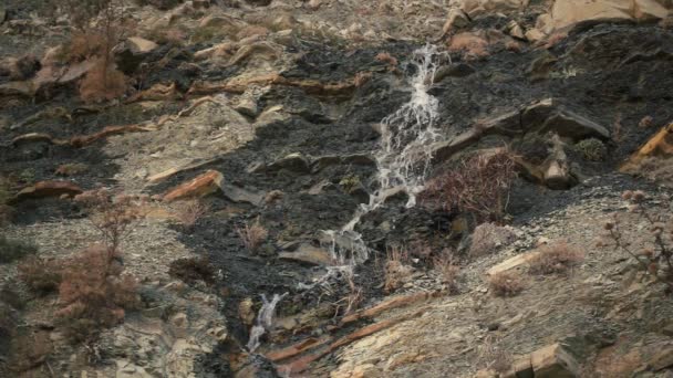 Uma fonte de montanha flui da rocha em câmera lenta — Vídeo de Stock