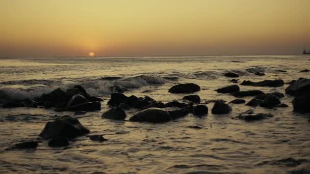 Slow motion a lonely wave rolling on the shore at sunset — Stock Video