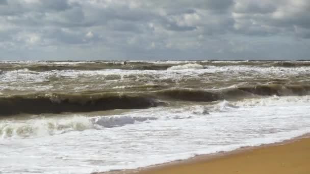 Olas de agua fangosa en la orilla arenosa — Vídeos de Stock