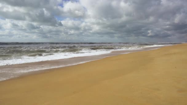 Storm waves on the sandy beach — Stock Video