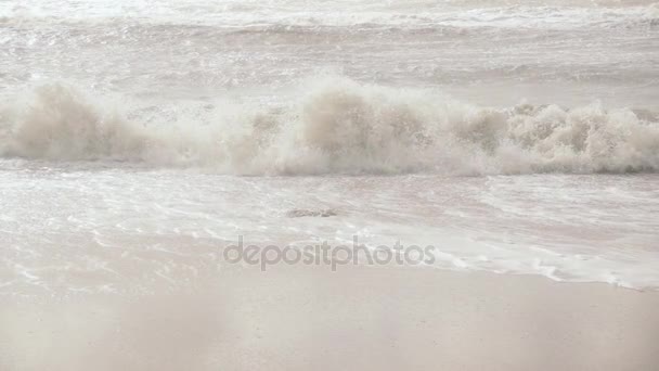 Movimento lento a onda longa do mar rola na costa — Vídeo de Stock