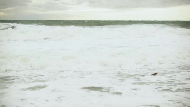 Ralenti grandes vagues mousseuses dans la mer grise — Video