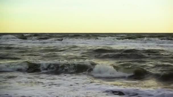 Gris petites vagues sur le rivage peu profond — Video