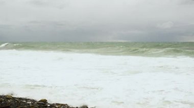 Martı dalgalar üzerinde uçuşu