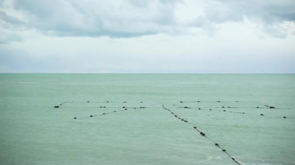 Fisknät i vattnet nära stranden — Stockvideo