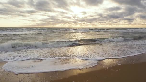 Длинные нежные волны на песчаном пляже — стоковое видео