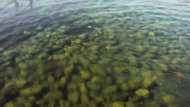 Fundo pedregoso do mar — Vídeo de Stock