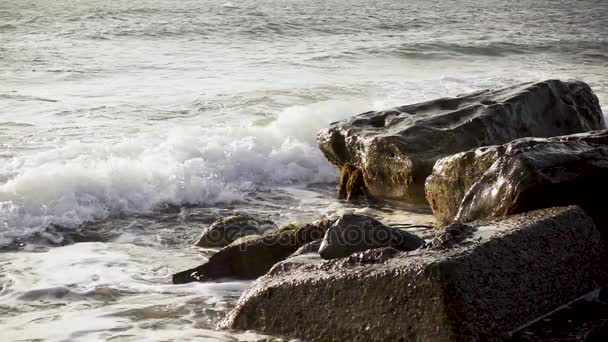 Langsame Welle bricht auf Beton und Steinen zusammen — Stockvideo