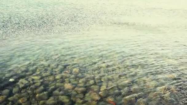 Szél hullámai vezet át a tenger felszíne — Stock videók