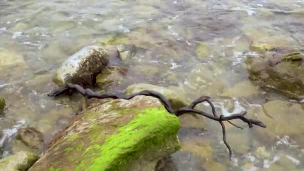 Деревянная ветка лежит на морских камнях — стоковое видео