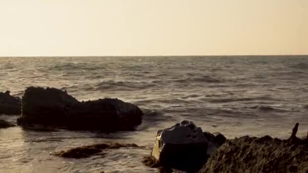 Waves of the sea calmly rock along the shore — Stock Video