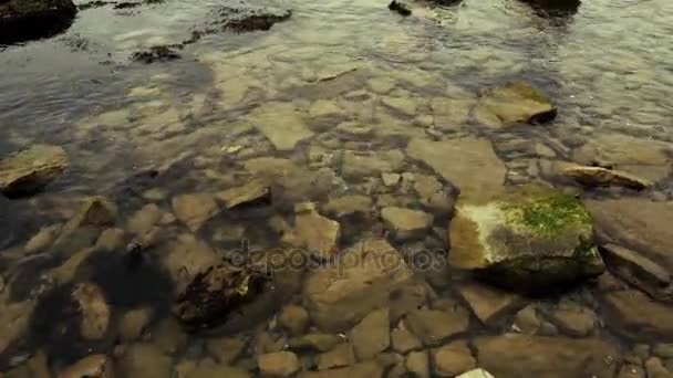 Камни на берегу в морской воде — стоковое видео