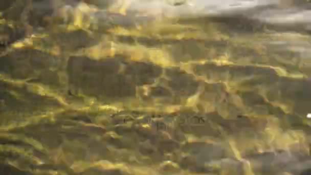 Primo piano dell'acqua pulita e del fondo roccioso — Video Stock