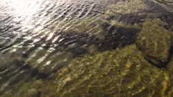 Água transparente e pedras na parte inferior — Vídeo de Stock