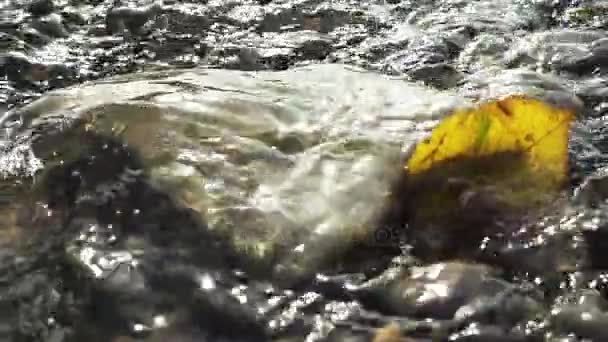 Zbliżenie slow mo strumienia płynącej wody — Wideo stockowe