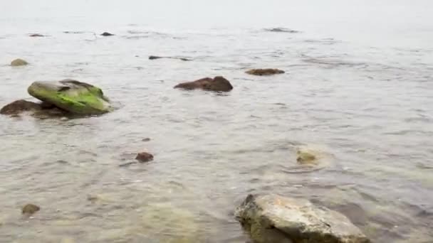 Kameran rör sig längs steniga stranden — Stockvideo