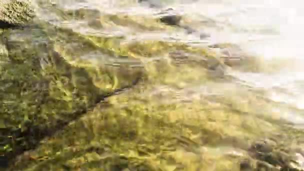 Água limpa e pedras com musgo — Vídeo de Stock