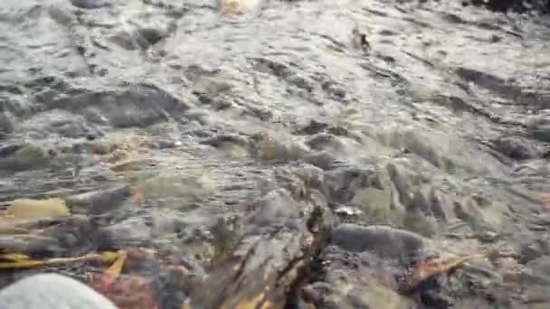 Супер медленное движение красивый поток воды — стоковое видео