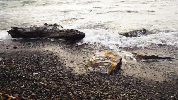 Slow Mo ondulación rueda sobre una piedra y un árbol — Vídeos de Stock