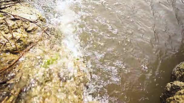 Медленное движение ручья стекает вниз с грязного берега — стоковое видео