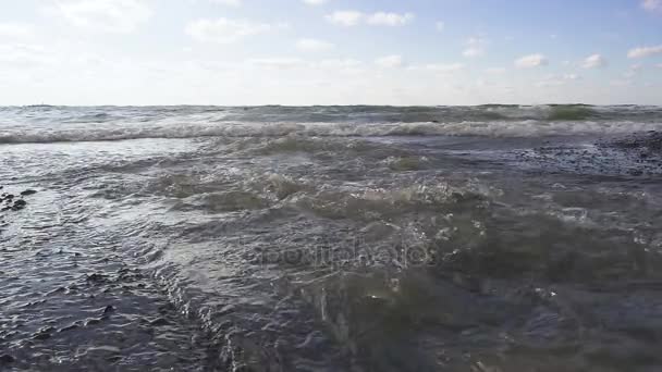 Река, ручей медленно впадает в море — стоковое видео