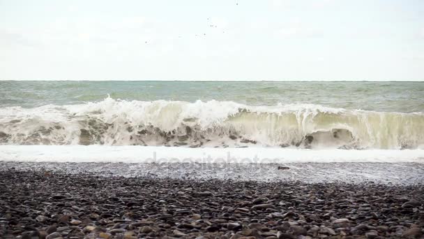 波は小石のビーチについて速報力強く遅い mo — ストック動画
