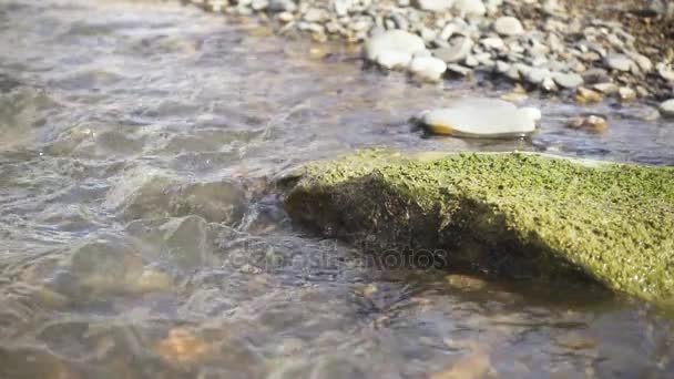 A large stone with moss lies in the water slow motion — Stock Video