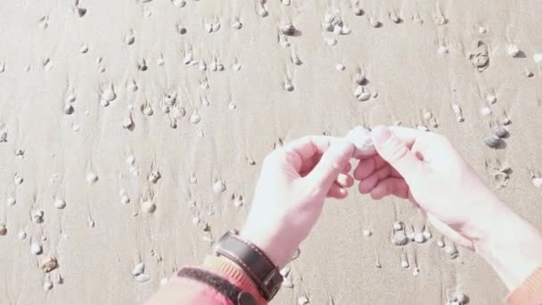 POV homem em uma praia de areia com conchas — Vídeo de Stock