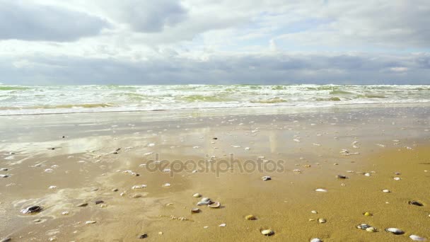 Rollos de olas a la playa de arena — Vídeos de Stock