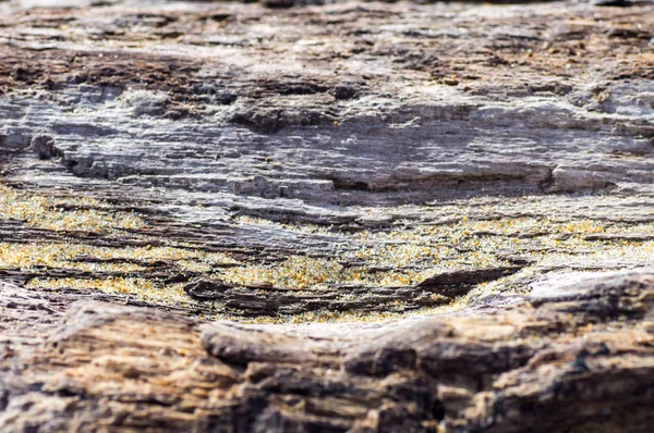 Areia na textura de um fundo de madeira velha — Fotografia de Stock