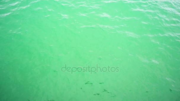 Super lento mo hermosa superficie de agua verde para el fondo — Vídeo de stock