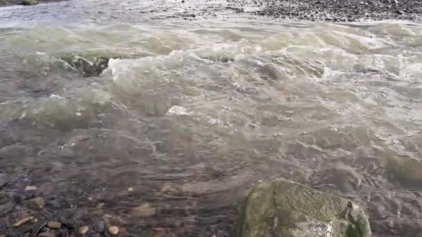 Slow Motion ruisseau de montagne gros plan — Video