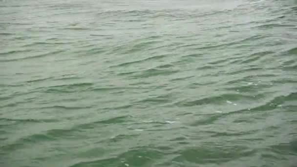 Zelené moře povrch detail vlna — Stock video