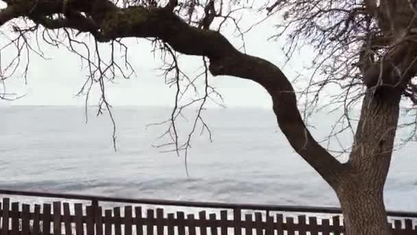 Descenso a la valla de madera cerca del mar — Vídeos de Stock