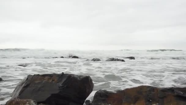 Kleine golven op zee en meeuwen — Stockvideo