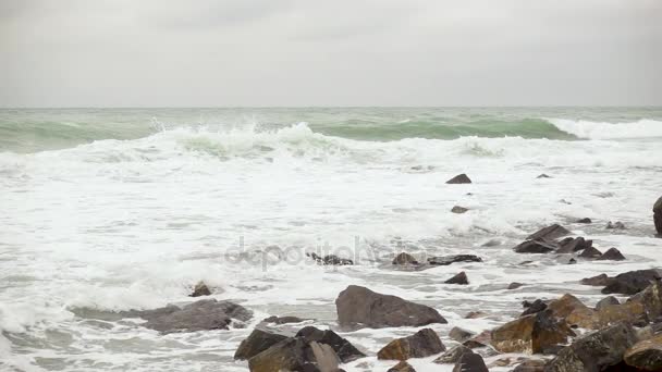 Όμορφη πράσινη κύματα αργή mo — Αρχείο Βίντεο