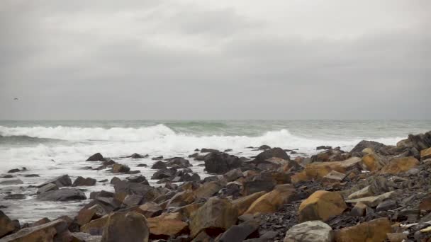 Gyönyörű tengerpart kövek és a hullámok, hab lassú mo — Stock videók