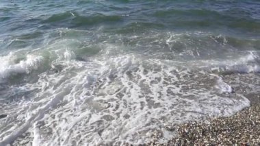 Dalga kıyıya ve martı yavaş gölgesi rulo