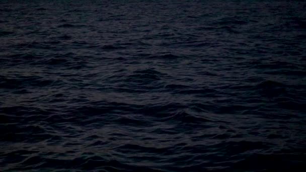 excitation à la surface de la mer la nuit 