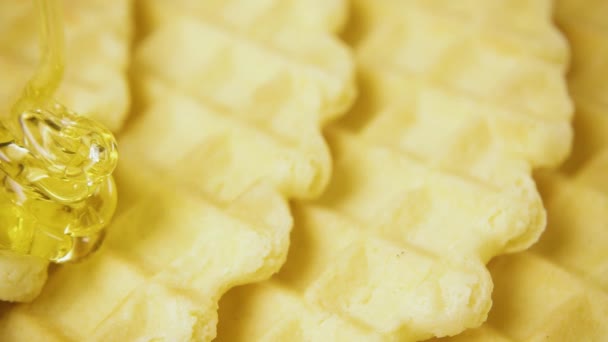 Медленное движение тонкая струйка меда льется на вафли — стоковое видео