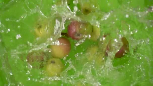 Manzanas de cámara lenta caen en un contenedor de agua vista superior — Vídeos de Stock