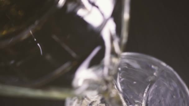 Slow-mo-Wein aus einer Karaffe in ein Glas von oben gießen — Stockvideo