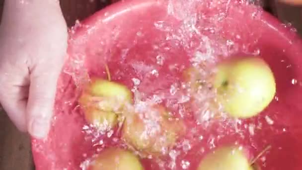 Η συγκομιδή των μήλων που πέφτει σε μια λεκάνη με νερό αργή κίνηση — Αρχείο Βίντεο