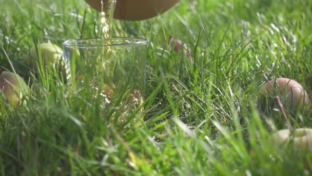 La cámara lenta en el vaso sobre la hierba vierte el jugo — Vídeos de Stock