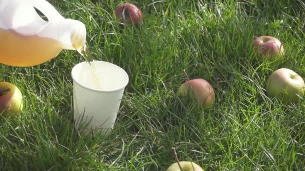 Zeitlupe im Gras sind Äpfel und Saft wird in ein Glas gegossen — Stockvideo