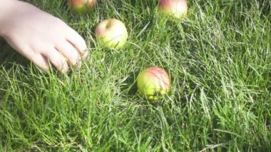 El çim yavaş elma alır