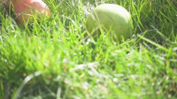 Succo di pera si riversa in un bicchiere sul rallentatore erba — Video Stock