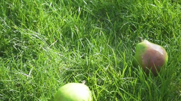 Rallentatore succosa pera gocce nell'erba — Video Stock